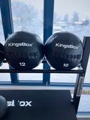 The Cannon Wall Ball 2-12 Kg - 12Kg