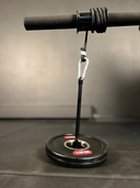 Twist bar with weight plate attachment