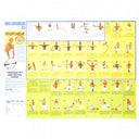 Treningsplakat - Bullworker